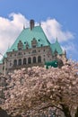 Vancouver Spring Cherry Blossoms.Canada Royalty Free Stock Photo