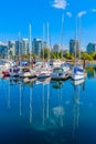 Vancouver Waterfront viewed from the Stanley Park Royalty Free Stock Photo