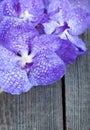 Vanda coerulea orchids on the wooden background, close up