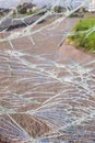 Vandalised Broken bus stop in the city. Dangerous, crashed tempered glass pieces on ground Royalty Free Stock Photo