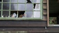 Vandals have broken windows in an old house