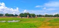 Vandiyur Mariamman Teppakulam without water