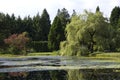 VanDusen Botanical Garden