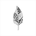 Vaned Feather Zentangle For Coloring Royalty Free Stock Photo
