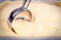 Vanill ice cream being scooped by a mechanical scoop Royalty Free Stock Photo