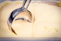 Vanill ice cream being scooped by a mechanical scoop