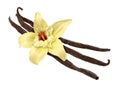 Vanilla Bean and Flower (clipping path)