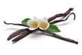 Vanilla bean with jasmine flower and leaf isolated