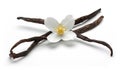 Vanilla bean with jasmine flowers
