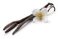 Vanilla bean with jasmine flowers isolated