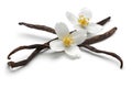 Vanilla bean with jasmine flowers isolated