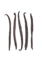 Vanilla beans Royalty Free Stock Photo