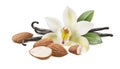 Vanilla beans with flower and almond nuts isolated on white background with clipping path Royalty Free Stock Photo