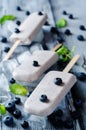 Vanilla blueberry cream cheese ice cream with fresh blueberries