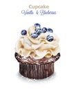 Vanilla and blueberry cupcake Vector. Delicious delicate dessert vintage menu templates Royalty Free Stock Photo
