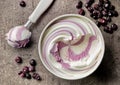 Vanilla and blueberry ice cream Royalty Free Stock Photo