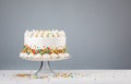 White Buttercream Birthday Cake with Sprinkles