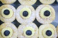 Vanilla cheese cupcake topping with blueberry