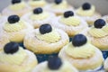 Vanilla cheese cupcake topping with blueberry