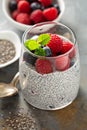 Vanilla chia pudding with fresh berries