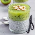 Vanilla chia pudding with kiwi, layered dessert, on concrete background, square format, closeup