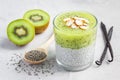 Vanilla chia pudding with kiwi, layered dessert, horizontal