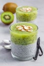 Vanilla chia pudding with kiwi, layered dessert, vertical