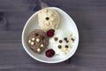 Vanilla and chocolate ice cream balls and chocolate crumbs with cranberry. Coffee creme brulee tasty ice cream with chocolate yogu Royalty Free Stock Photo