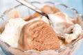 Vanilla and chocolate ice cream in the crystal bowl on the wooden planks Royalty Free Stock Photo