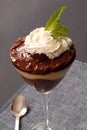 Vanilla and chocolate pudding