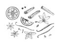 Vanilla, cinnamon, mint, orange, anise, cloves.Spices set of hand-drawn vector illustrations. Royalty Free Stock Photo