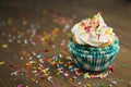 Vanilla cupcake Royalty Free Stock Photo