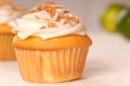 Vanilla cupcake with buttercream frosting Royalty Free Stock Photo