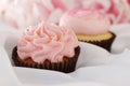 Vanilla cupcake with buttercream frosting Royalty Free Stock Photo