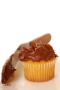 Vanilla cupcake with chocolate frosting