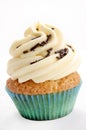 Vanilla cupcake with chocolate sprinkles Royalty Free Stock Photo