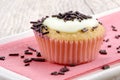 Vanilla cupcake with chocolate sprinkles Royalty Free Stock Photo