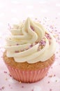 Vanilla cupcake with colorful sprinkles Royalty Free Stock Photo