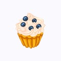 Vanilla cupcake with cream and blueberry isolated Royalty Free Stock Photo