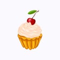 Vanilla cupcake with cream and cherry isolated Royalty Free Stock Photo