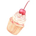 Vanilla cupcake with light cream and cherries. Watercolor vintage illustration on the theme of birthday. Isolated on a Royalty Free Stock Photo