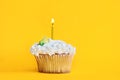 Vanilla Cupcake with Lit Candle Royalty Free Stock Photo