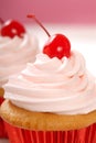 Vanilla cupcake with maraschino cherry Royalty Free Stock Photo