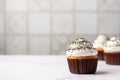 Vanilla cupcake with poppy seeds, topped with cream cheese and chocolate sprinkles in a brown capsule on a light tile Royalty Free Stock Photo