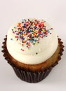 Vanilla Cupcake with Rainbow Sprinkles Royalty Free Stock Photo