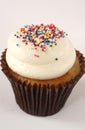 Vanilla Cupcake with Rainbow Sprinkles Royalty Free Stock Photo