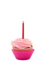 Vanilla cupcake with rose icing Royalty Free Stock Photo