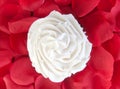 Vanilla cupcake and rose petals Royalty Free Stock Photo
