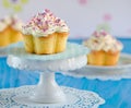 Vanilla cupcake Royalty Free Stock Photo