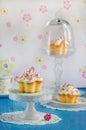 Vanilla cupcake Royalty Free Stock Photo